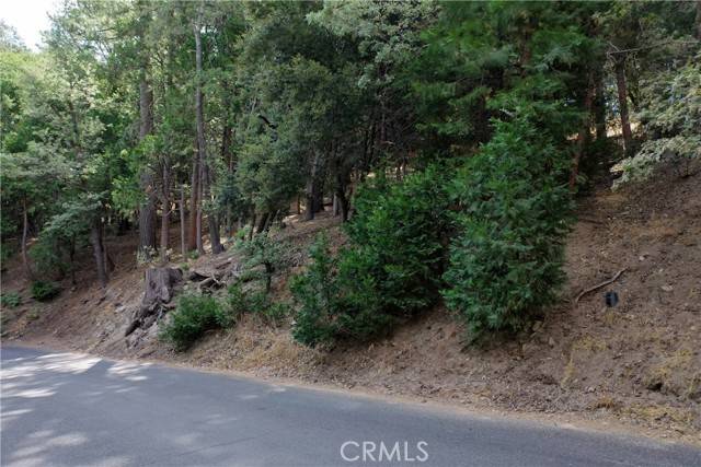 Crestline, CA 92325,127 Lot 127 Basel DR