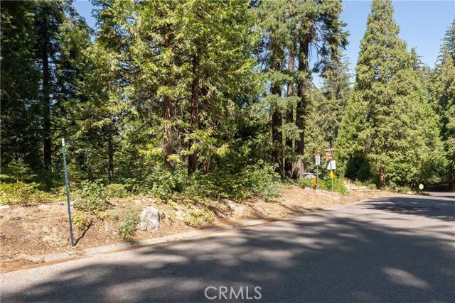 Yosemite, CA 95389,7199 Manzanita LN