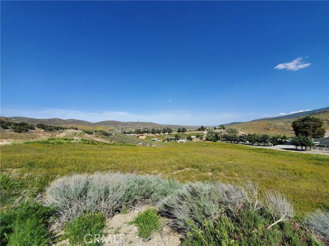Leona Valley, CA 93551,87 W 87th ST