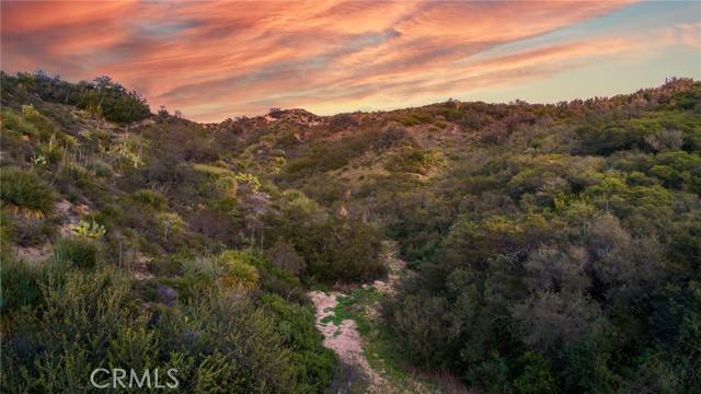 Trabuco Canyon, CA 92679,20062 Summit Trail RD