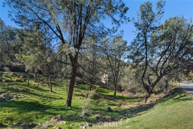 Kelseyville, CA 95451,4983 Iroquois TRL