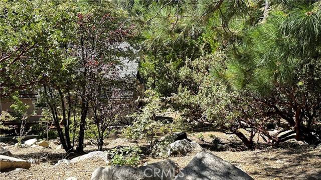 Lake Arrowhead, CA 92352,0 Peninsula DR