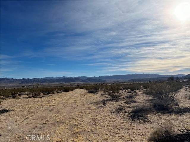 Joshua Tree, CA 92252,7 Bellflower RD
