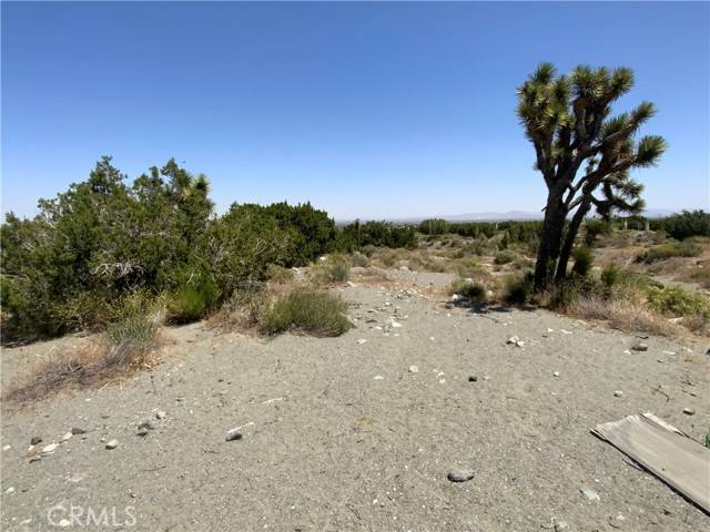 Pinon Hills, CA 92372,0 Phelan RD