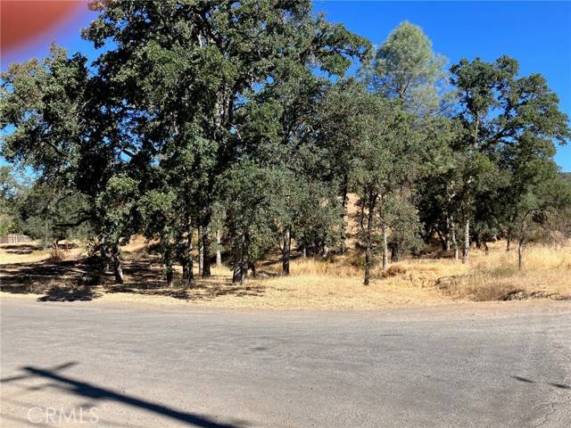 Clearlake, CA 95422,16108 36th AVE