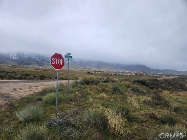 Tehachapi, CA 93561,0 Cheyenne AVE