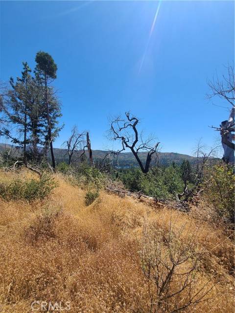 Concow, CA 95966,0 Hog Ranch RD