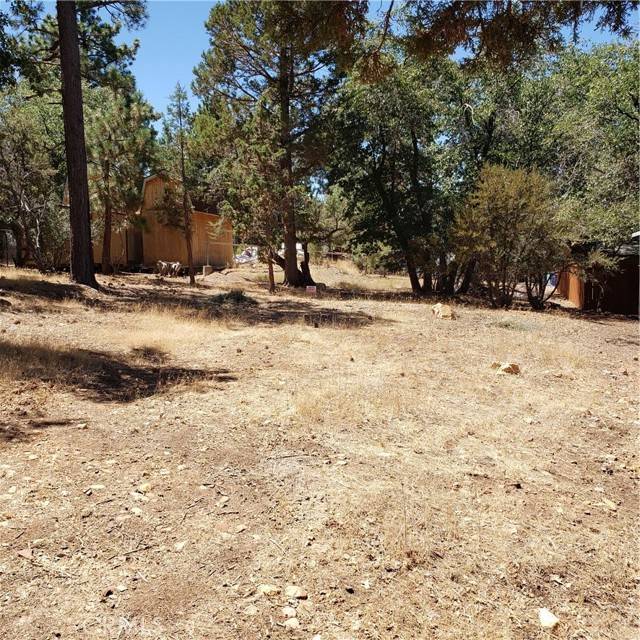 Sugarloaf, CA 92386,864 San Bernardino AVE