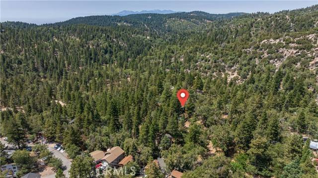 Arrowbear, CA 92382,32752 Tulip LN