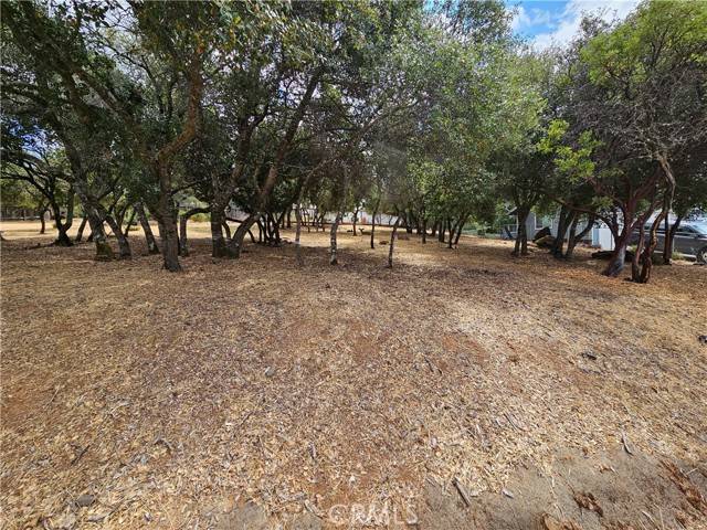 Kelseyville, CA 95451,9717 Mount Hood WAY