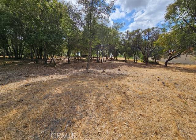 Kelseyville, CA 95451,9599 Timberline CT