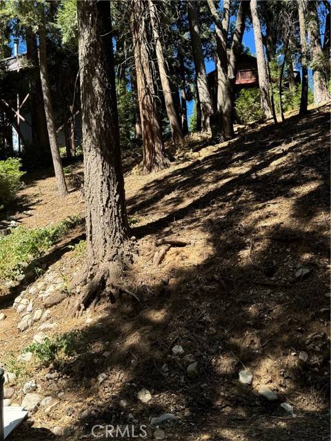 Lake Arrowhead, CA 92352,0 Oakmont LN