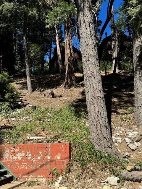 Lake Arrowhead, CA 92352,0 Oakmont LN