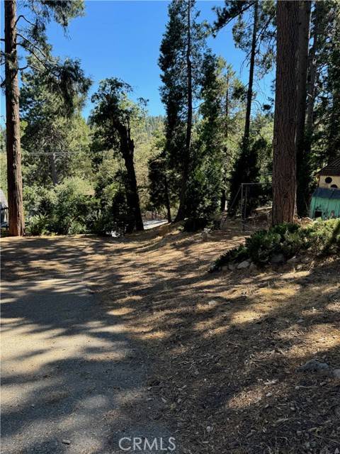 Twin Peaks, CA 92391,26243 Alpine LN