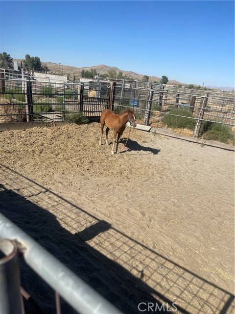 Adelanto, CA 92301,5115 El Mirage RD