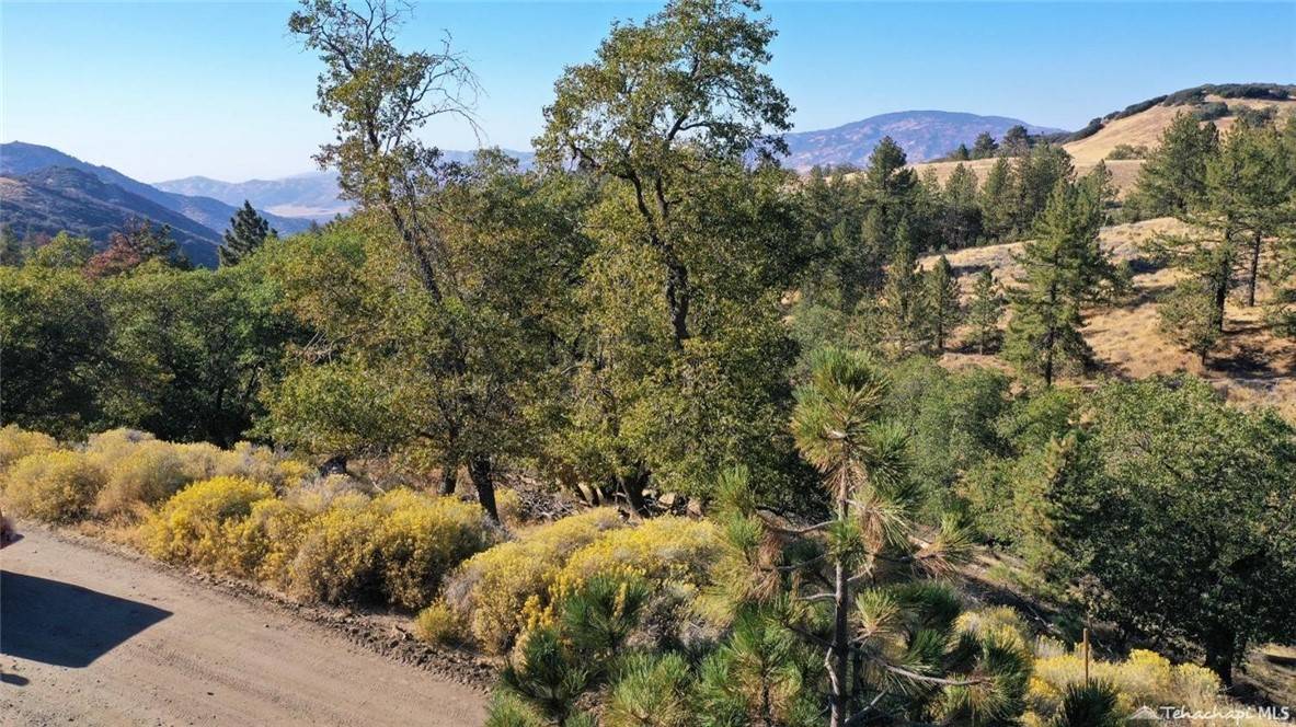 Tehachapi, CA 93561,16851 Interlaken ST