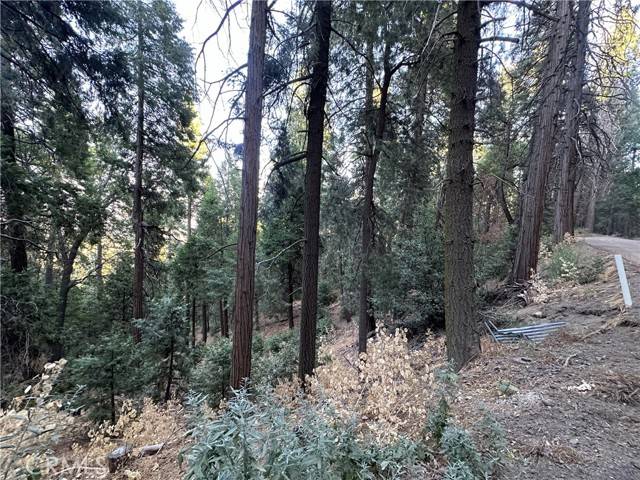 Cedarpines Park, CA 92322,0 Reservoir RD