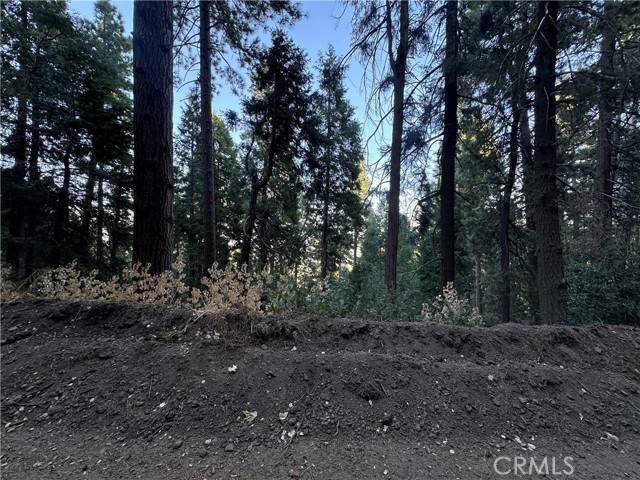 Cedarpines Park, CA 92322,0 Reservoir RD