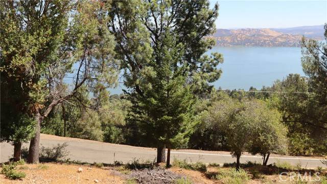 Kelseyville, CA 95451,8151 Broadview DR