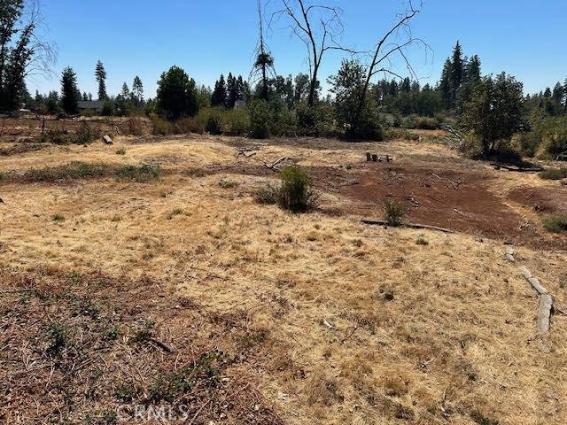 Paradise, CA 95969,1616 Nelson LN