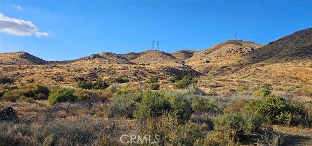 Acton, CA 93550,0 Soledad Pass RD