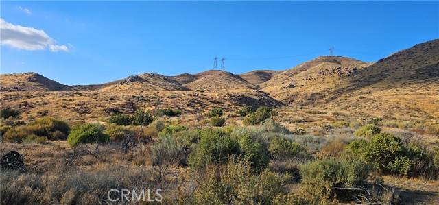 Acton, CA 93550,0 Soledad Pass RD