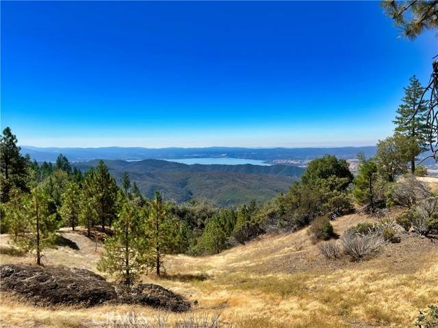 Upper Lake, CA 95485,11233 Pitney Ridge RD