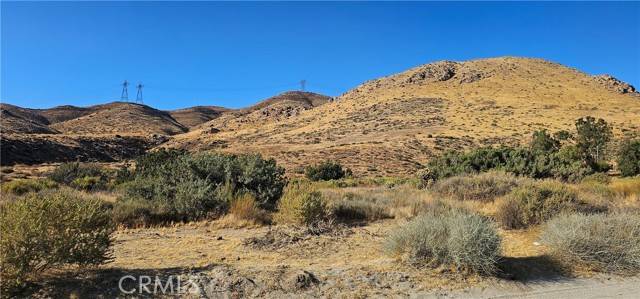 Acton, CA 93550,0 Soledad Pass RD