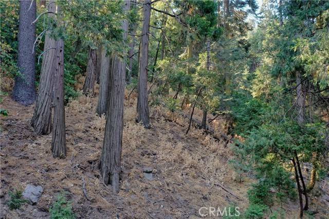 Crestline, CA 92325,33 Lot 33 Bernard DR