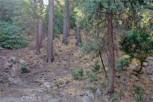 Crestline, CA 92325,33 Lot 33 Bernard DR