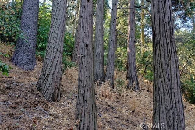 Crestline, CA 92325,33 Lot 33 Bernard DR