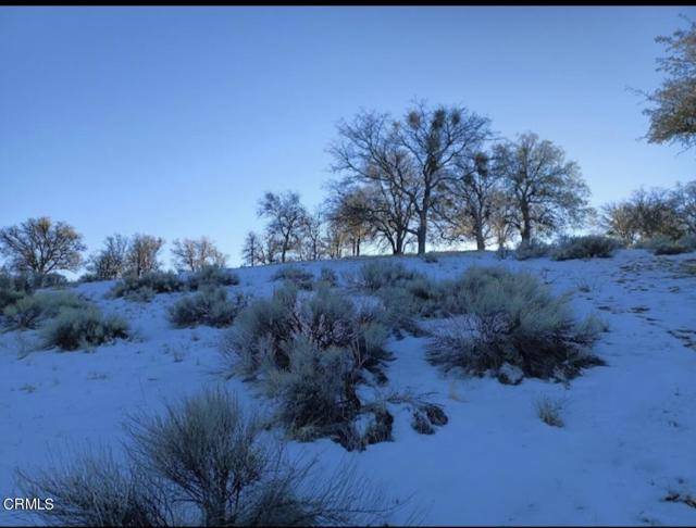 Tehachapi, CA 93561,17900 Zurich CT