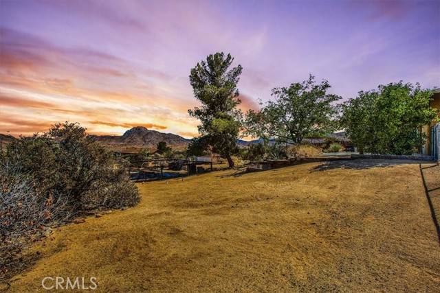 Joshua Tree, CA 92252,7670 Quail Springs RD