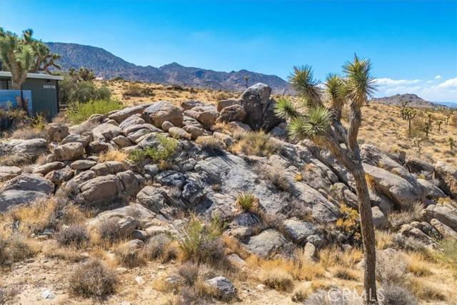 Joshua Tree, CA 92252,62676 Quail Springs RD