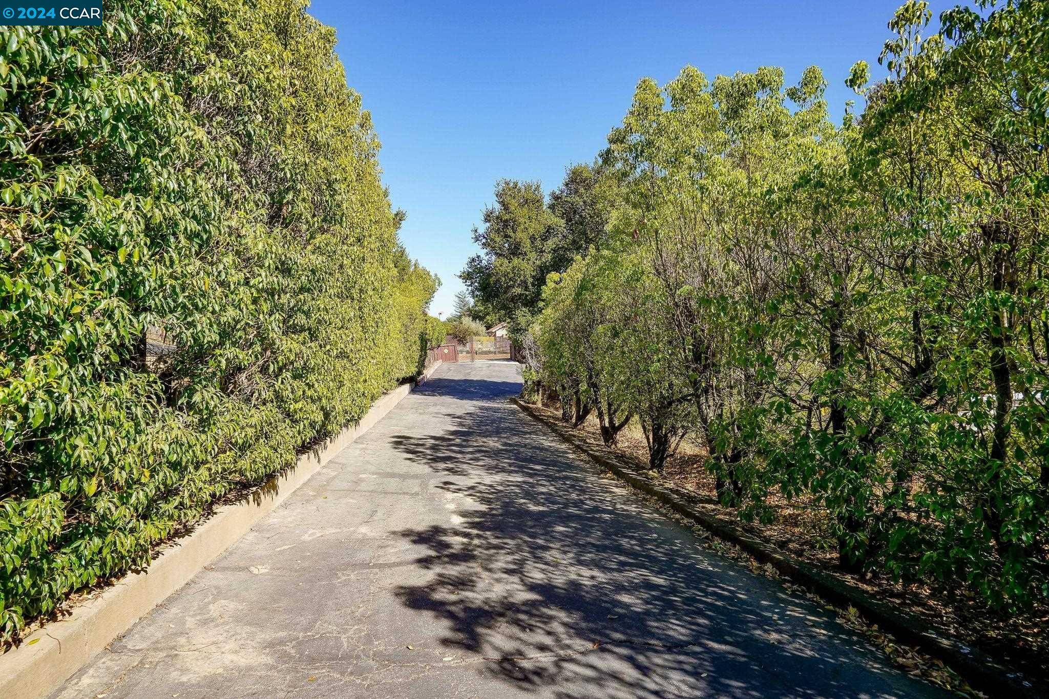 Martinez, CA 94553,5010 Chelsea Dr