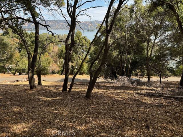 Kelseyville, CA 95451,3137 Southlake DR