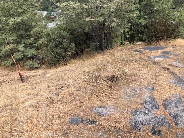 Lake Arrowhead, CA 92352,0 Trinity Lot 333 DR