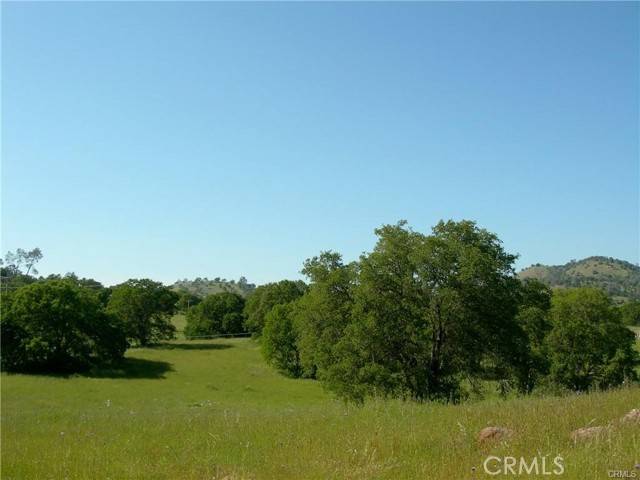 Catheys Valley, CA 95306,3019 Blue Oak DR