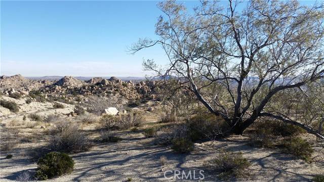 Pioneertown, CA 92268,0 Tortoise Wash RD