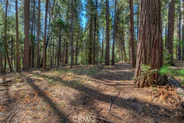 Magalia, CA 95954,0 Fern Glenn WAY