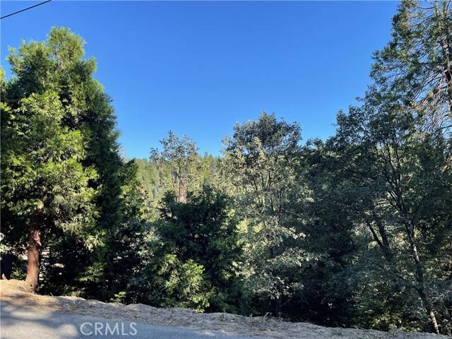 Lake Arrowhead, CA 92352,1098 Lot 1098 Victoria CT