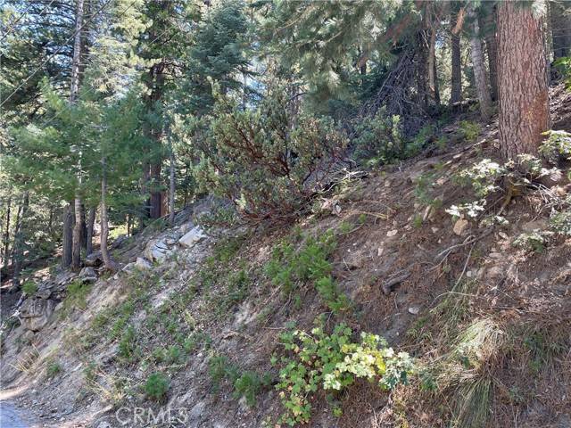 Twin Peaks, CA 92391,28 Lot 28 Forest LN
