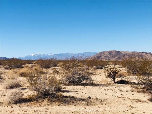Twentynine Palms, CA 92277,5 Appian WAY