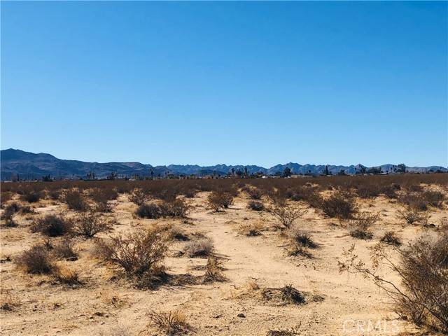 Twentynine Palms, CA 92277,1 Todd LN