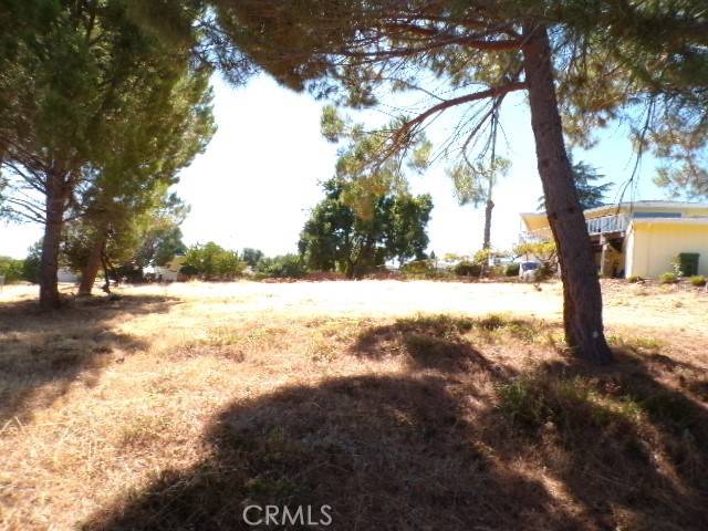 Kelseyville, CA 95451,10369 Pebble Beach WAY