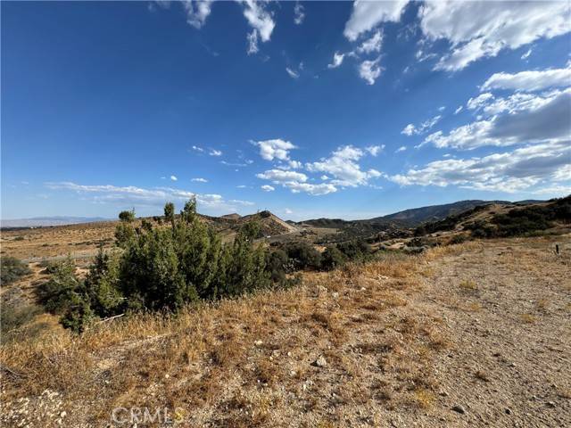 Pinon Hills, CA 92372,8320 Zohra Canyon RD