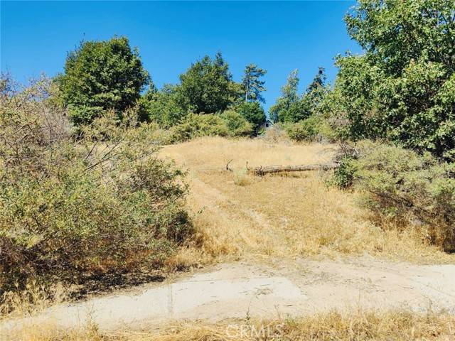 Cedar Glen, CA 92321,289 Lilac WAY