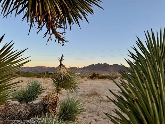 Joshua Tree, CA 92252,5858 Neptune RD