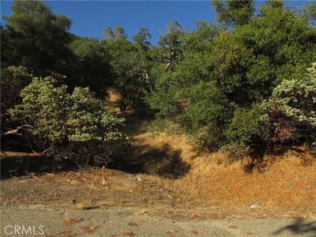 North Fork, CA 93643,2 Ac Old Oaks CT
