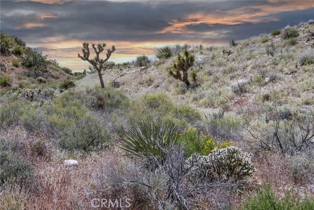 Yucca Valley, CA 92284,54129 Pinon DR